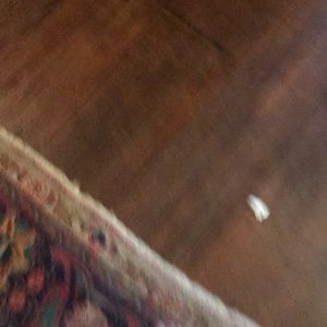 Meet your Posher, Liam